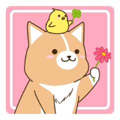 いたわりコーギー2