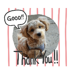 ぷっくんオンリーワン!スタンプ♪