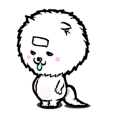 ポメラニアンのココア