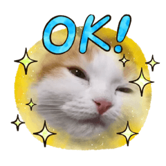 猫スタンプちゃーちゃん❤︎その2