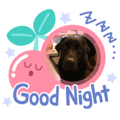 バーニー君モーリーちゃん2