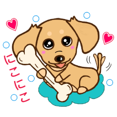 可愛いミニチュアダックス(クリーム)