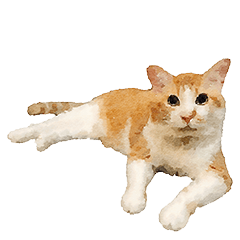 ライ太もふもふ