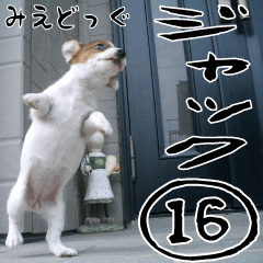 みえどっぐスタンプ ジャックラッセル編 16