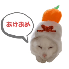 はくまい写真スタンプ