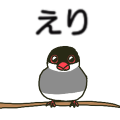 えりちゃんが送るさくら文鳥スタンプ