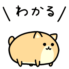 ひたすら震える犬２