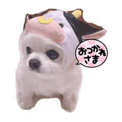 らむすたんぷ❸