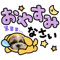 シーｚｏｏMASHU