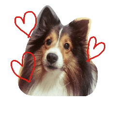 天使のアンジュ