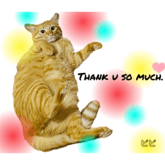 まり坊のビビたんスタンプ