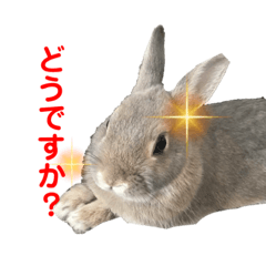 ハルくんスタンプ！第二弾