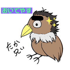 たか兄『京都弁』バージョン