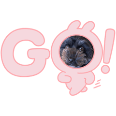 ワンちゃんわんわん