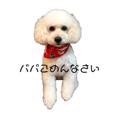 みんな大好きラミちゃん