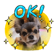 みなむのスタンプ