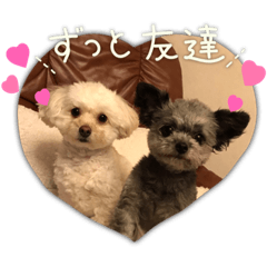 うちのなかよしちゃん