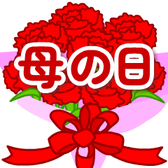 【飛び出す】母の日❤️カーネーション