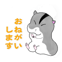 アニマルワールド13 ハムスター編