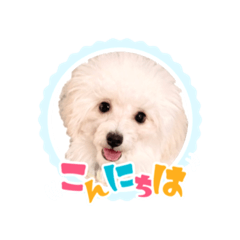 使えるスタンプ！ふわもこトイプー♡3