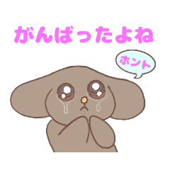 うるうる　うさぎ　がんばったよね