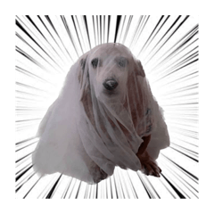 メルちゃんはスタンプ2