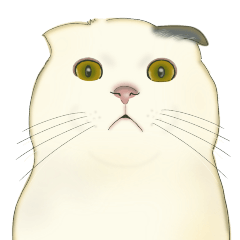 日常の宝箱❤️モフ猫連合❤️猫の日Ver.