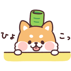 ころころ柴犬10 和菓子と柴犬