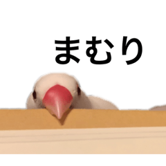 こてつのスタンプ100