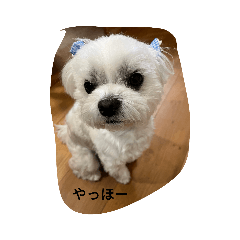 毎日使えるマリンちゃんスタンプ！