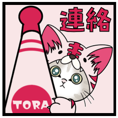 【家族連絡】虎ぽんにゃん【飛び出す】