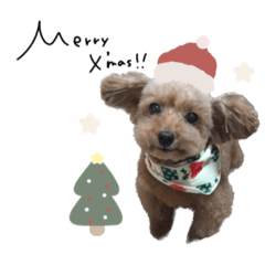 チョコ君☆モカちゃん年末年始ver.