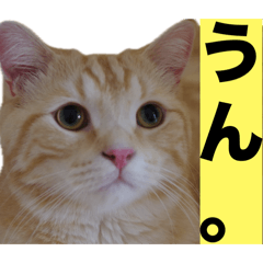 てびばにスタンプ