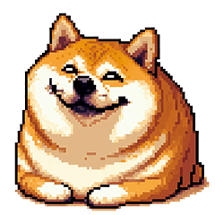 煽りに煽る太っちょ柴犬