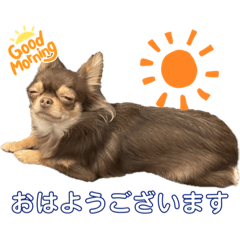 Hay! モンロー！