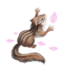 シマリスの春日和