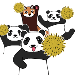 ぱんだずき6〜アレンジ放題