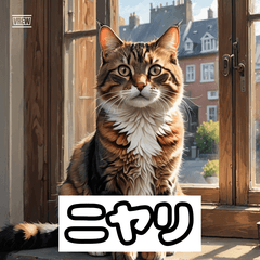 表情豊かなネコ – かわいいスタンプ