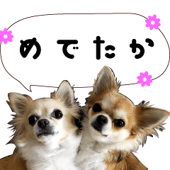 可愛すぎる犬や猫の九州弁スタンプ