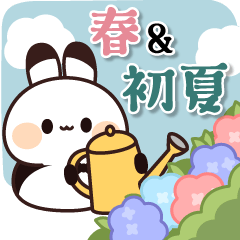 飛び出す♪執事うさぎくん 春〜初夏