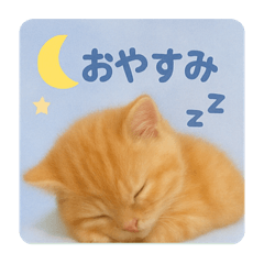 茶トラマンチカン日常会話スタンプ