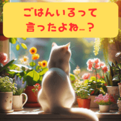 妻の本音を語る白猫