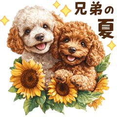 夏を楽しむトイプードル兄弟