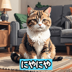 ネコもよう
