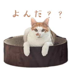 ミニマムブラザーズのスタンプ1