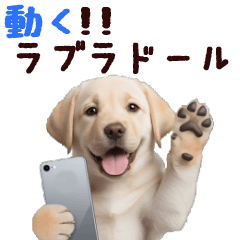 動く！ラブラドールレトリバー