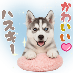いつでも使える♡ハスキーのスタンプ