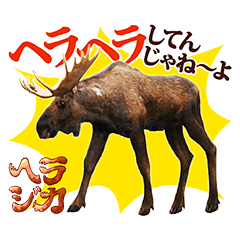 イッテQ！珍獣スタンプ ～アラスカ編～