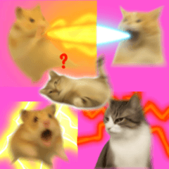 『ぼやけ猫とミーム鼠：怖すぎてブレた』3