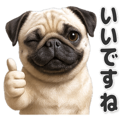 【敬語】使いやすい！パグ